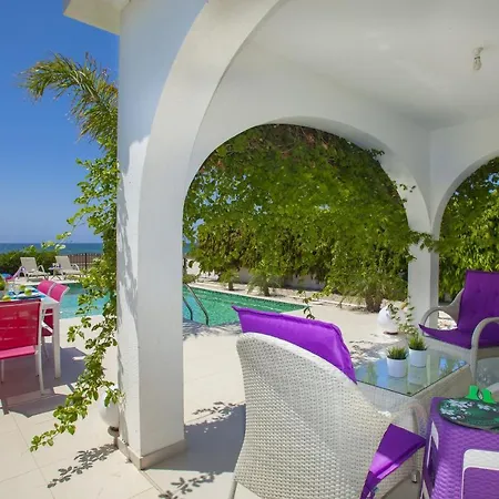 Ayia Thekla Seafront Lavender Vila *